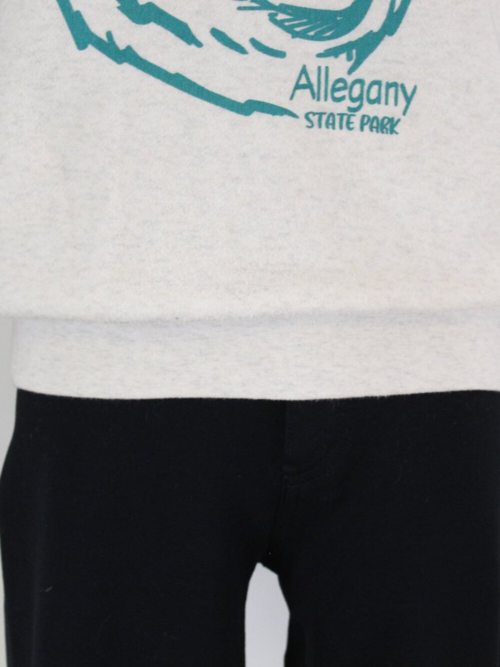 Allegany State Park Bear Graphic Sweatshirt Small Cozy Crewneck - Picture 4 of 11